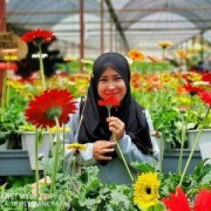 NUR HIDAYAH RAMLAN profile icon