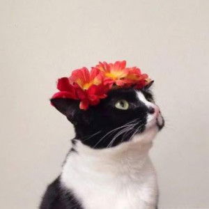 Ika Pertiwi profile icon