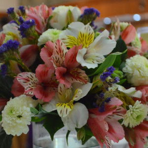 Joan Tindogan profile icon