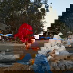 Shelly Ayusa profile icon