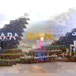 Thao Vu profile icon