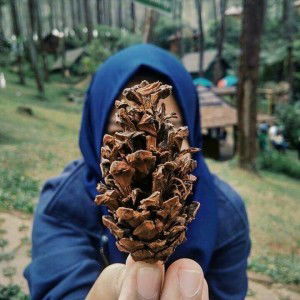 Eni Faitoh profile icon