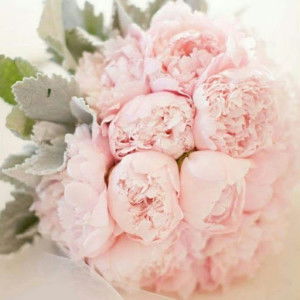 NURUL FATHIN ALYANIE profile icon