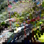 Widya Ruliati profile icon