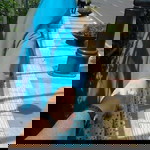 S Nia Cahya Assegaf profile icon