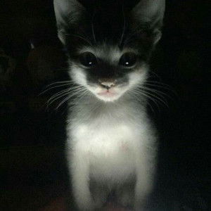 ขุนเอก ขอรับ profile icon