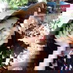 Tae Joemay profile icon