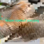 Fanjani Keanu profile icon