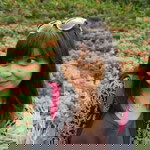 Opin Hasanah profile icon