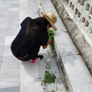 Jib Jib profile icon