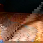 Merra profile icon