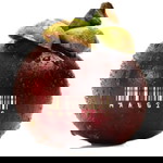 Asma Amira profile icon