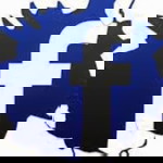 maricel ocon profile icon