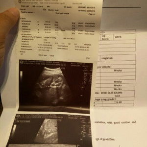 Shaina Diezmo profile icon