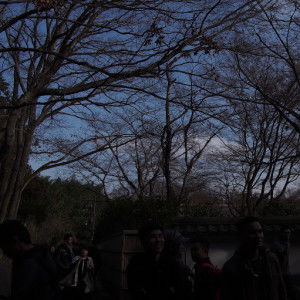 azalea amy profile icon