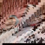 Wangsiih Wan's profile icon