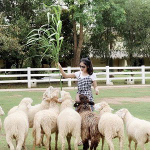 Noo Pang profile icon