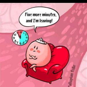 ddddarn profile icon