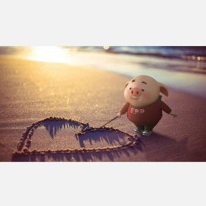 Như Hồng profile icon