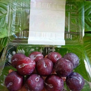 Aafiyah profile icon