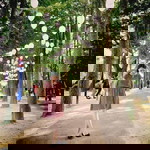 Rina Julyanty Napitupulu profile icon