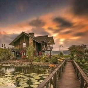 สุนิสา ศรีเงิน profile icon