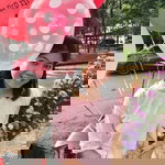 Sasicha Poonlaead profile icon