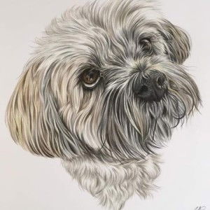 1William profile icon