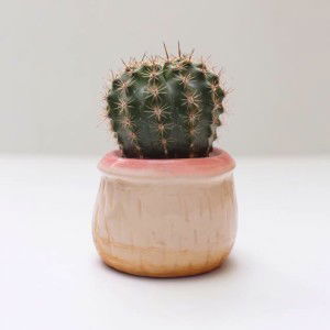 Nussaba Boonyasak profile icon