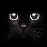 Spectüm C profile icon