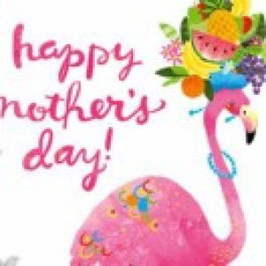 gods little prince profile icon