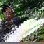 kinara avreliosyha d.s profile icon