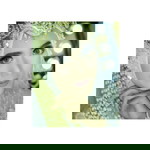 Liah Solikhah profile icon