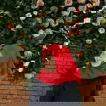 dewi indah profile icon