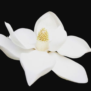 Jem Estores profile icon