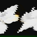 Jem Estores profile icon