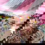 Nisfi Laili Munawaroh profile icon