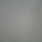 Hana Shafiee profile icon