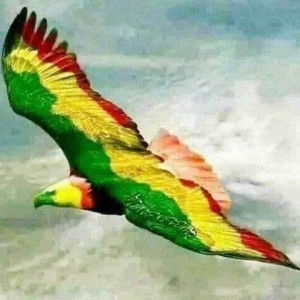 Mohd Nur Hafiez profile icon