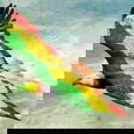 Mohd Nur Hafiez profile icon