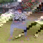 gend hiend profile icon
