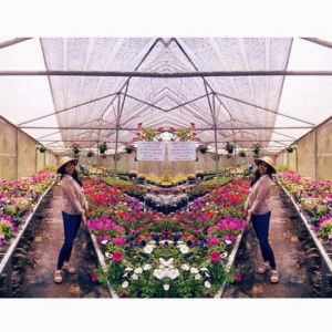 sasti dwi septrilianti profile icon