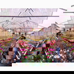 sasti dwi septrilianti profile icon