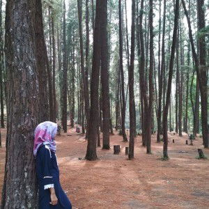 Zakiyyah M profile icon