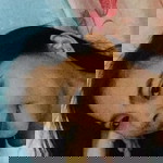 Kristine Montero profile icon