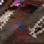 n'green profile icon