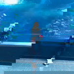 Srifarh Hokul profile icon