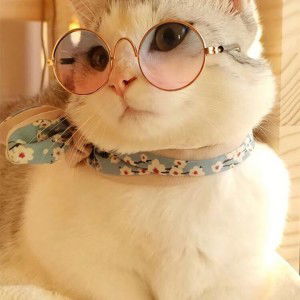 ของขวัญ ของชีวิต profile icon