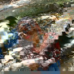 F A R❤️ profile icon