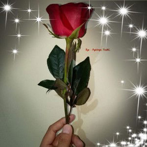 Nining Hatake profile icon